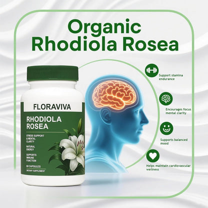 Evina™ Rhodiola Rosea Capsules