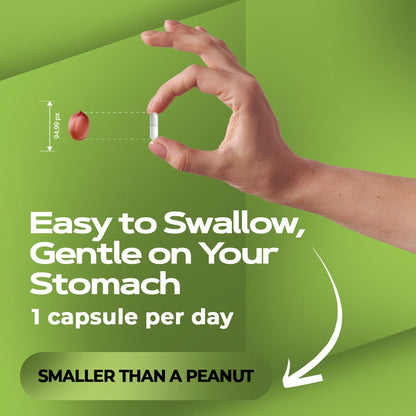 EverVision 14 in 1 Advanced Eye Formula | Feel noticeable support for eye comfort in as little as 2 weeks